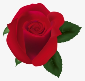 Red Rose Png Clipart Image - Portable Network Graphics, Transparent Png, Transparent PNG