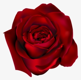Rose Png - Red Rose, Transparent Png, Transparent PNG