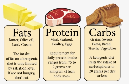 Types Of Food Fat Carbohydrates, HD Png Download, Transparent PNG