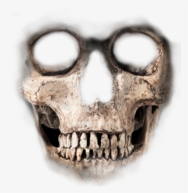 Skeleton Face Png - Skeleton Face For Photoshop, Transparent Png, Transparent PNG