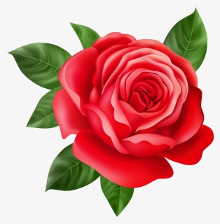 Red Rose Transparent Png Clip Art, Png Download, Transparent PNG