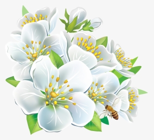White Flowers Png Hd, Transparent Png, Transparent PNG