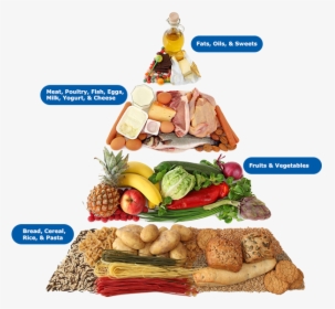 Egal S Art Print - Carbohydrates Types Of Nutrients, HD Png Download, Transparent PNG
