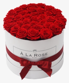 Orb Grand Red Roses - Red Roses, HD Png Download, Transparent PNG