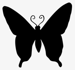 Clipart Zebra Butterfly - Butterfly Silhouette No Background, HD Png Download, Transparent PNG
