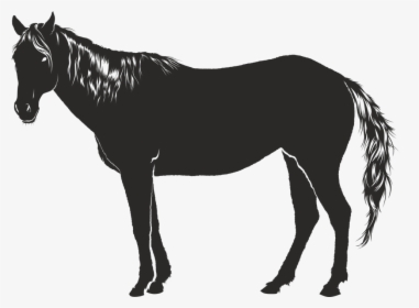 Horse, Black, Animal, Silhouette, Shadow - Cavalo Sombra Png, Transparent Png, Transparent PNG