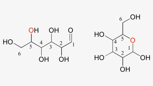 Fischer Projection Of Fructose, HD Png Download, Transparent PNG