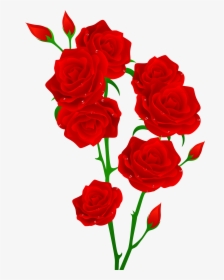 Red Rose Flower Clip Art, HD Png Download, Transparent PNG