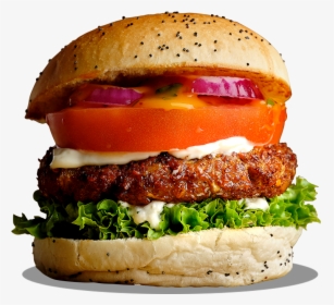 Transparent Burger Vector Png - Patty, Png Download, Transparent PNG