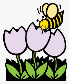 Bee And Panda Free - Example Of Mutualism Drawing, HD Png Download, Transparent PNG