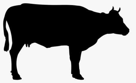 Cattle, Beef Cattle, Cow, Foot, Meat, Butcher - Cow Black And White Png, Transparent Png, Transparent PNG