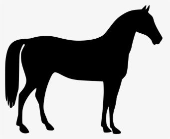 Free Horse Clip Art Clipartzo - Animal Silhouettes Horse, HD Png Download, Transparent PNG