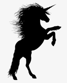 Animal, Equine, Rearing, Horse, Silhouette, Ride - Unicorn Silhouette Rearing Up, HD Png Download, Transparent PNG