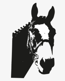 Horse Head Silhouette Png - Silhouette Horse Head Png, Transparent Png, Transparent PNG
