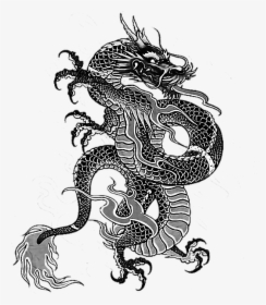 #tattoo #irezumi #dragon #dragonballz #yakuza #ninja - Chinese Dragon Tattoo Transparent, HD Png Download, Transparent PNG