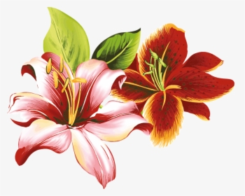 Imagenes Png Flores - Colour Flower Designs Drawing, Transparent Png, Transparent PNG
