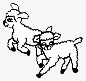 Lambs Clipart Black And White, HD Png Download, Transparent PNG
