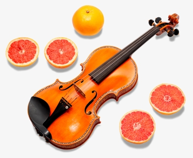 Transparent Indian Musical Instruments Png - Violin, Png Download, Transparent PNG