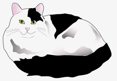 Black And White Fluffy Cat Clipart, HD Png Download, Transparent PNG