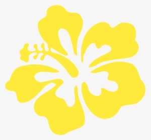 Hibiscus, HD Png Download, Transparent PNG