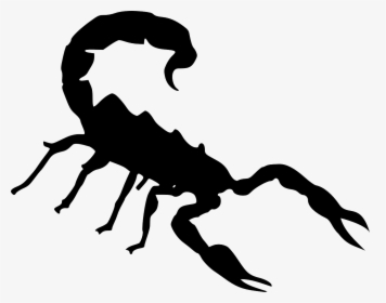 Drawing Scorpion Scorpio - Scorpioni Clipart, HD Png Download, Transparent PNG