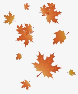 Golden Leaf PNG Images, Transparent Golden Leaf Image Download - PNGitem