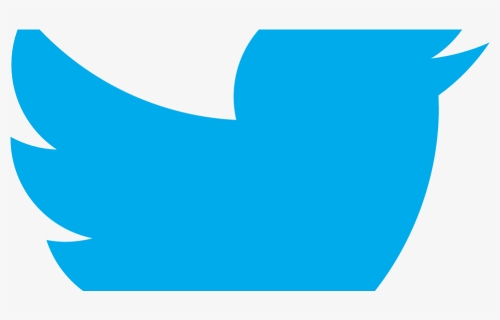 @alexslemonade, Twitter Logo - Blue Twitter Bird Png, Transparent Png ...