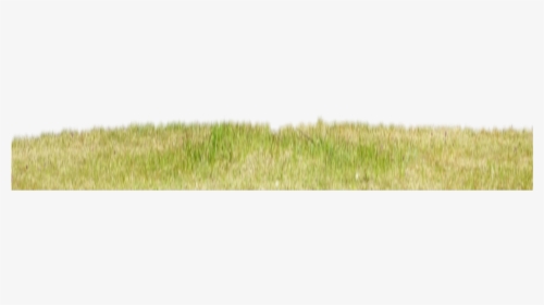 #hierba - Lawn, HD Png Download, Transparent PNG