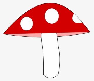 Mushroom Agaric Forest Free Picture - Muchotrávka Png, Transparent Png, Transparent PNG