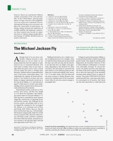 Michael Jackson Moonwalk Png, Transparent Png, Transparent PNG