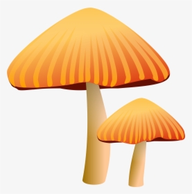 Orange Mushroom Clipart, HD Png Download, Transparent PNG