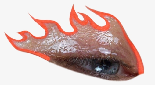 #eye #eyes #png #pngs #orange #flames #aesthetic #makeup - Vampire Bat, Transparent Png, Transparent PNG