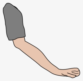 Arm Clip Art - Animated Picture Of Arm, HD Png Download, Transparent PNG