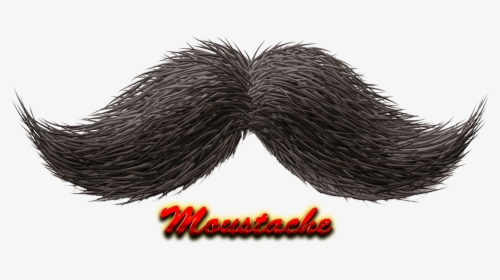 Moustache Png Hd - Mustache Render, Transparent Png, Transparent PNG