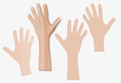 Collection Of Skin - World Hand Hygiene Day 2019, HD Png Download, Transparent PNG