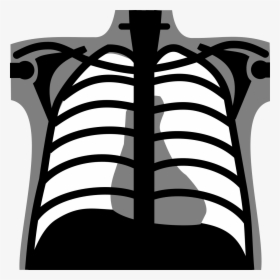 X-rays Chest Icon - Chest X Ray Vector, HD Png Download, Transparent PNG