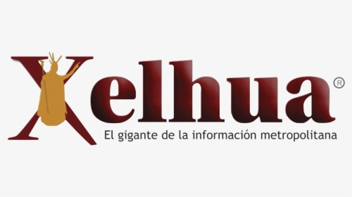 Periódico Xelhua - Graphic Design, HD Png Download, Transparent PNG