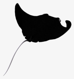 Hd Stingray Clipart Eagle - Cownose Ray Silhouette, HD Png Download, Transparent PNG