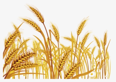 Wheat Png Image - New Jerusalem Heavenly Mother, Transparent Png, Transparent PNG