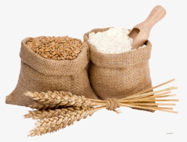 Wheat, HD Png Download, Transparent PNG