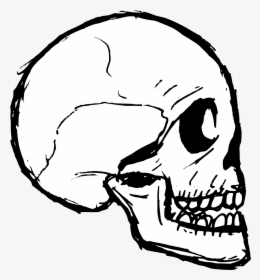 Skull Drawing Transparent, HD Png Download, Transparent PNG
