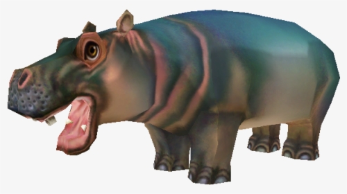 Hippopotamus Zoo Tycoon 2, HD Png Download, Transparent PNG