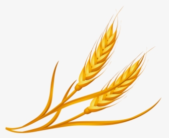 Wheat Clipart Png Image Free Download Searchpng - Cartoon Wheat Png, Transparent Png, Transparent PNG