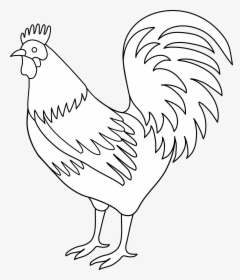 Rooster Coloring Page Image Png Clipart - Murga Drawing, Transparent Png, Transparent PNG