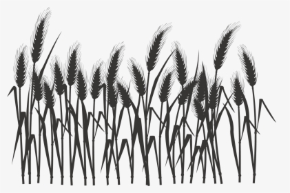 Silhouette Black And White - Drawn Wheat Field Silhouette, HD Png Download, Transparent PNG
