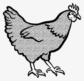 Chicken Clipart, HD Png Download, Transparent PNG