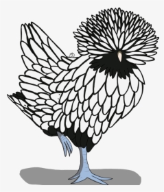 Drawing Clipart Hen - Polish Chicken Drawing, HD Png Download, Transparent PNG