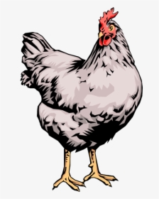 Hen Laying Egss Clip Art, HD Png Download, Transparent PNG