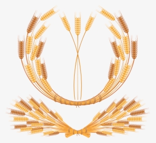 Wheat Png - Vector Wheat Free, Transparent Png, Transparent PNG