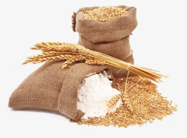 Wheat And Wheat Flour - Wheat Flour Png, Transparent Png, Transparent PNG